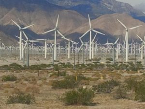 Wind Farms in Palm Springs Desert